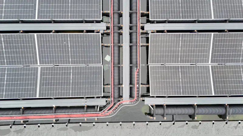 Kwekerij Het Kraaiennest 05