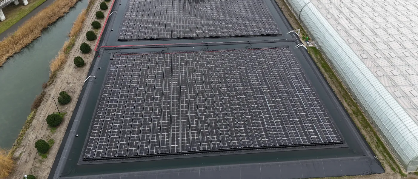 Anthura Bleiswijk floating solar project